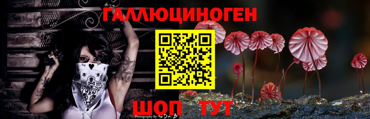 Скопин  Псилоцибиновые грибы GOLDEN TEACHER  Вход с VPN 